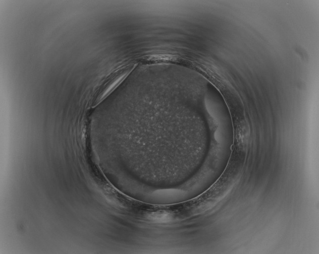 X0000113600551200909251158