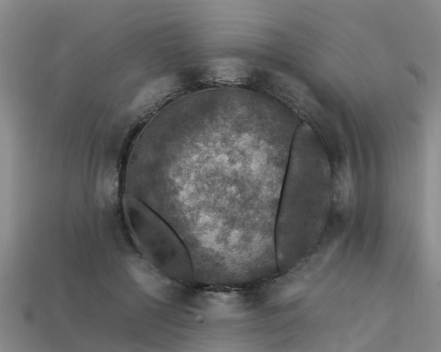 X0000113600552200909251158