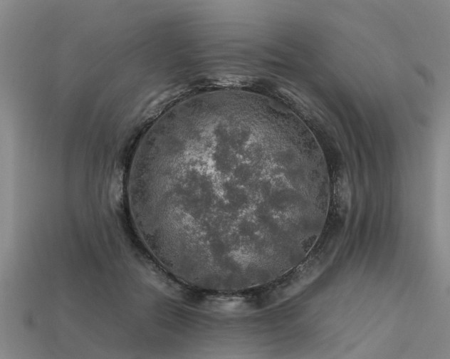 X0000113600554200909251158