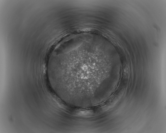 X0000113600555200909251158