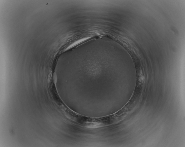 X0000113600559200909251158