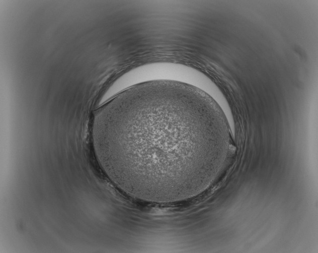 X0000113600560200909251158