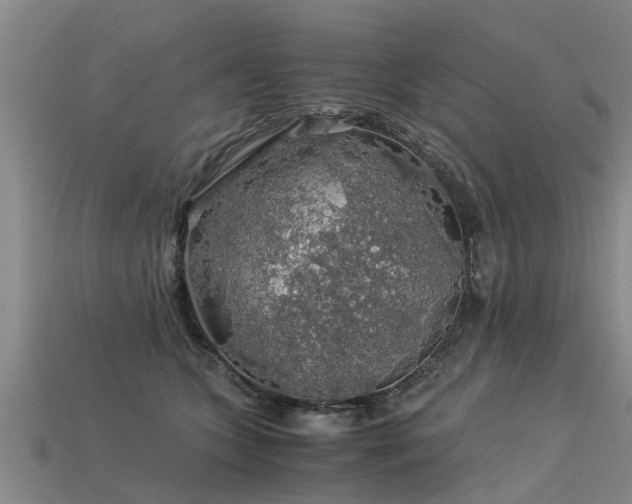 X0000113600563200909251158