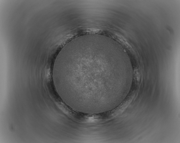 X0000113600564200909251158