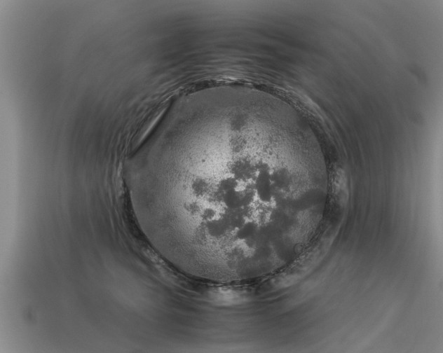 X0000113600565200909251158