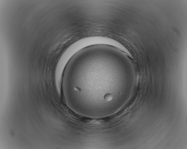 X0000113600566200909251158