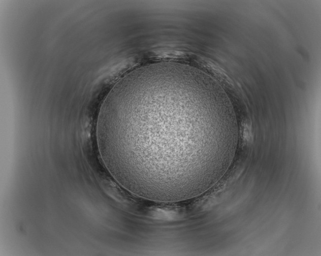 X0000113600567200909251158