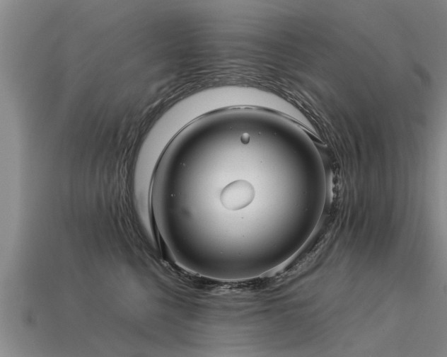 X0000113600568200909251158