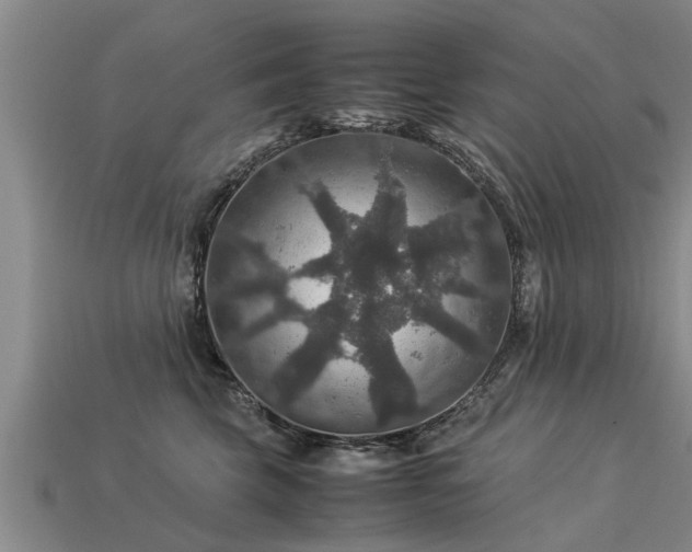 X0000113600569200909251158