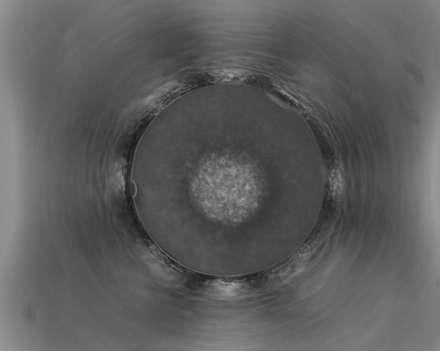 X0000113600570200909251158