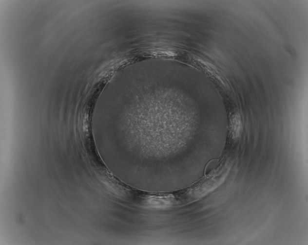 X0000113600571200909251158