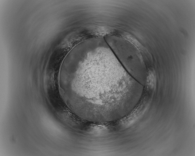 X0000113600572200909251158