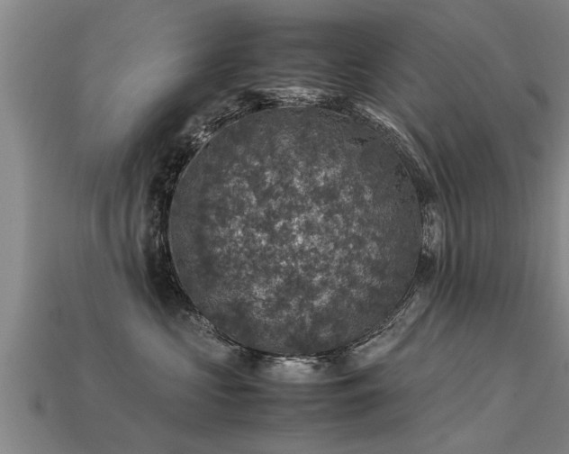 X0000113600573200909251158