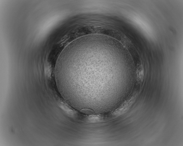 X0000113600574200909251158