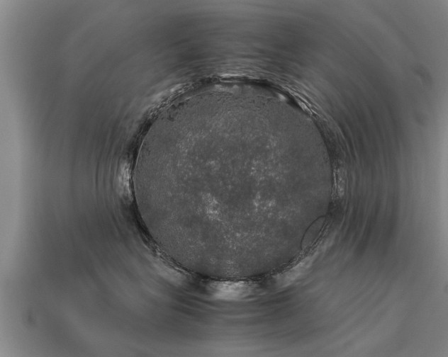 X0000113600575200909251158