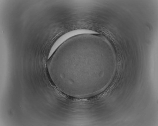 X0000113600576200909251158