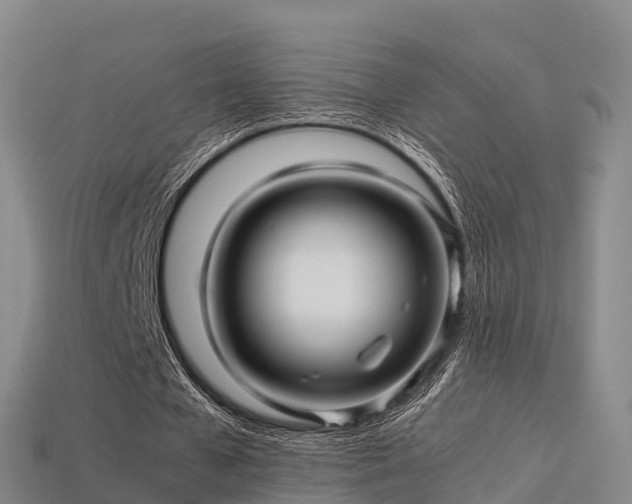 X0000113600577200909251158