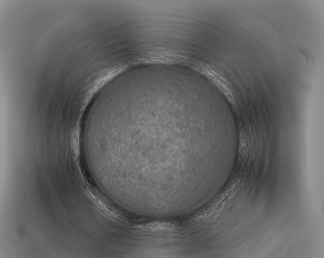 X0000113600578200909251158