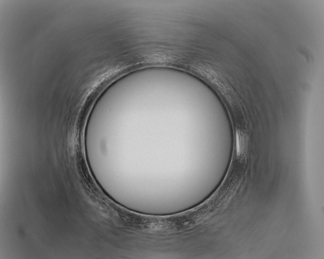 X0000113600579200909251158