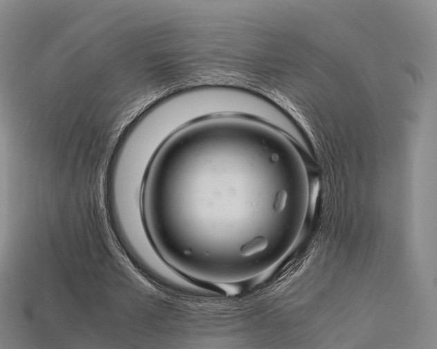 X0000113600581200909251158