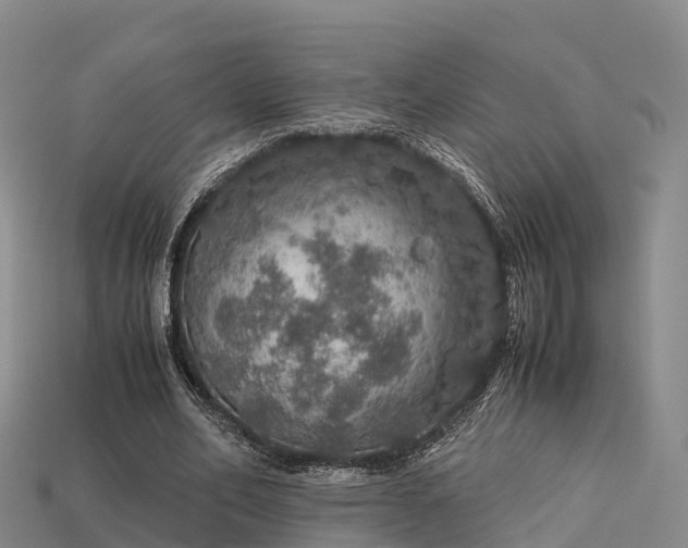 X0000113600582200909251158