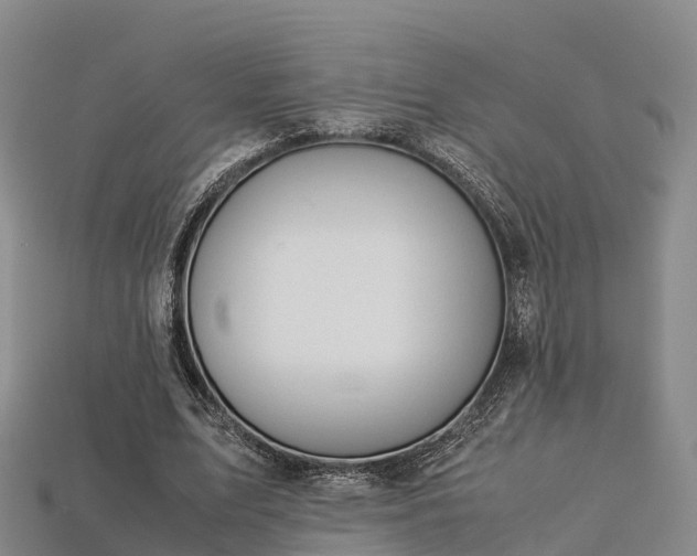 X0000113600583200909251158