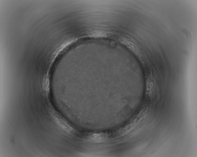 X0000113600584200909251158