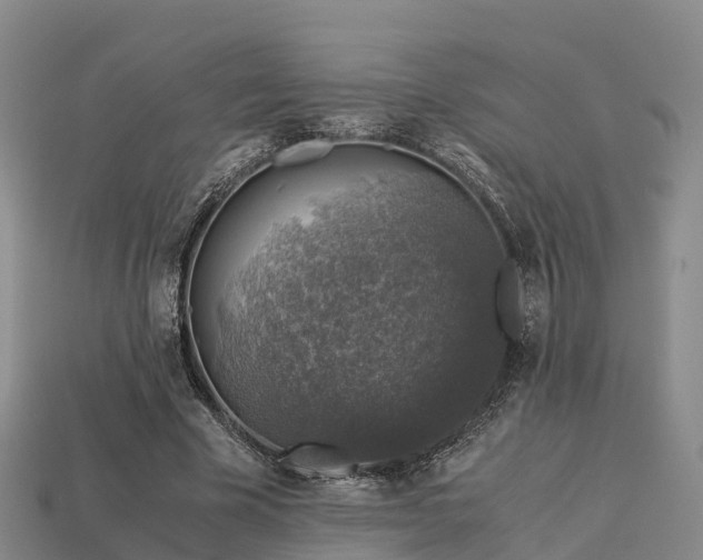 X0000113600585200909251158