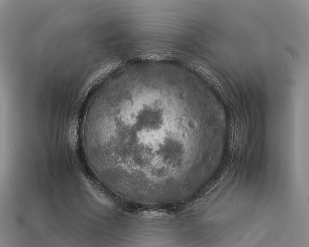 X0000113600586200909251158