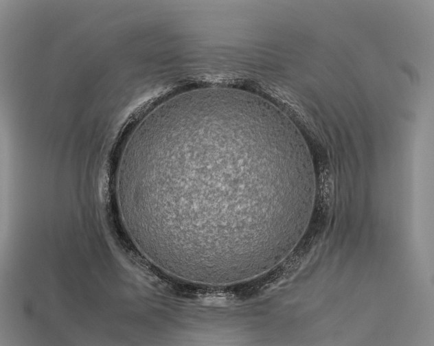 X0000113600587200909251158