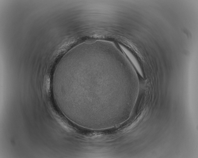 X0000113600589200909251158