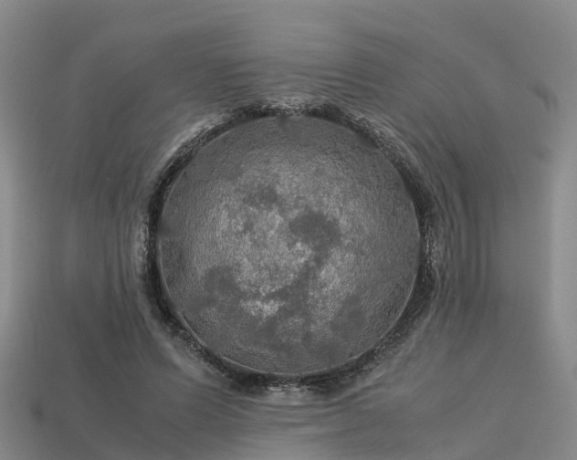 X0000113600591200909251158