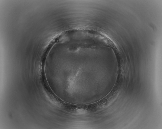 X0000113600592200909251158