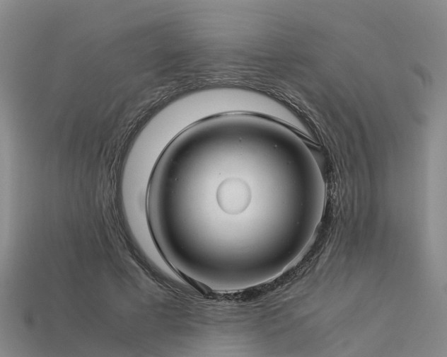 X0000113600593200909251158