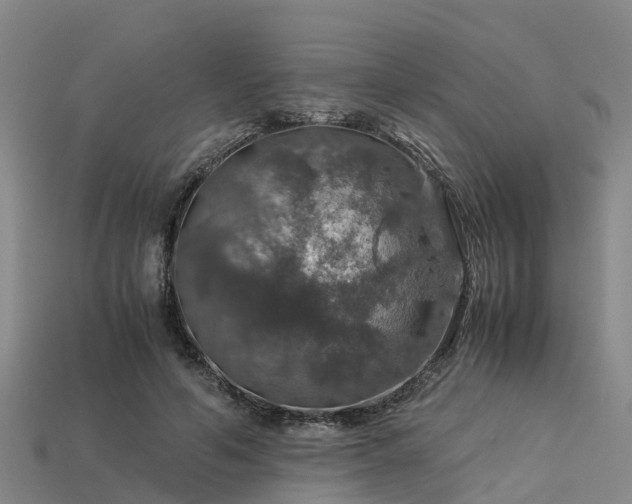 X0000113600594200909251158