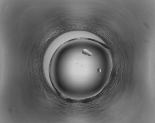 X0000113600595200909251158