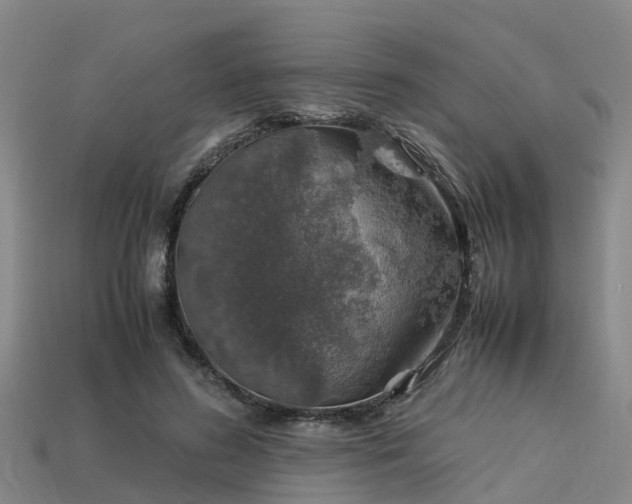 X0000113600596200909251158