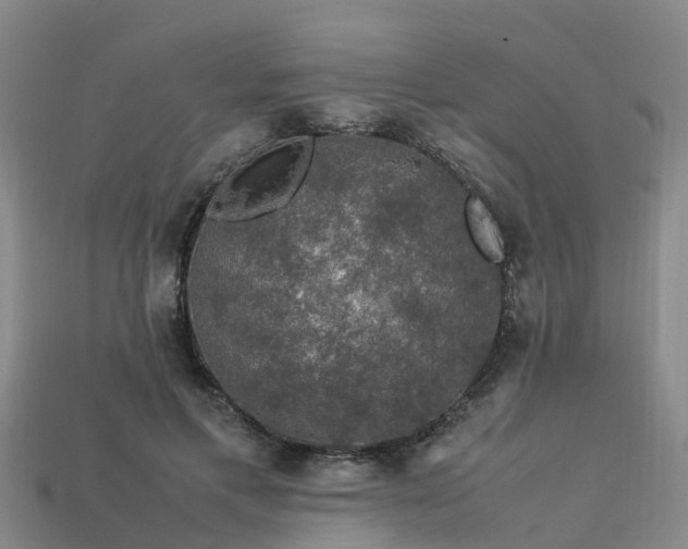 X0000113600597200909251158