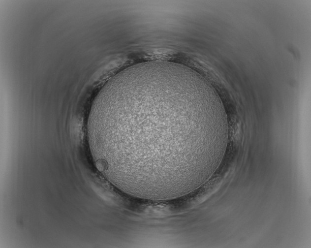 X0000113600599200909251158