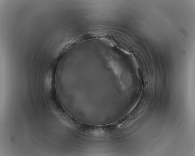 X0000113600600200909251158