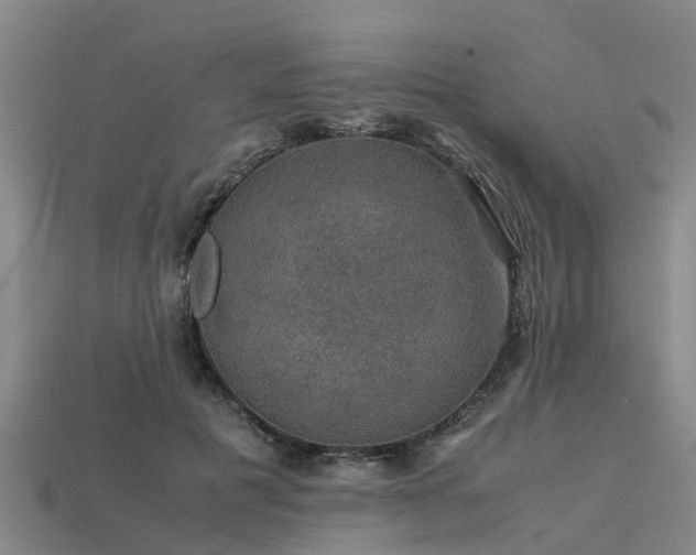 X0000113600601200909251157