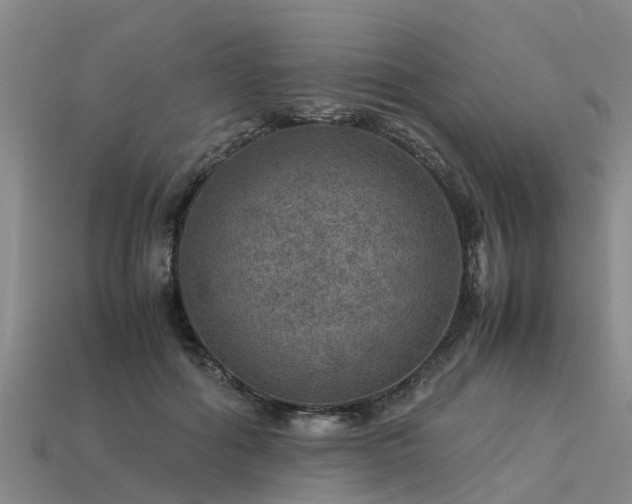 X0000113600602200909251157