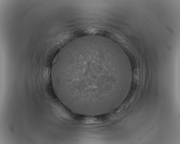 X0000113600605200909251157