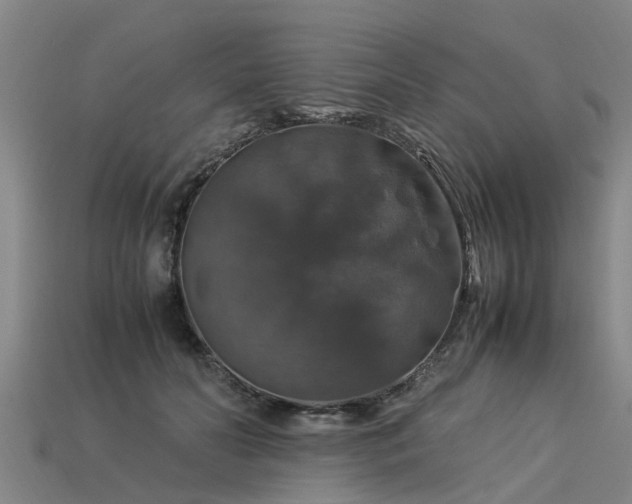 X0000113600606200909251157