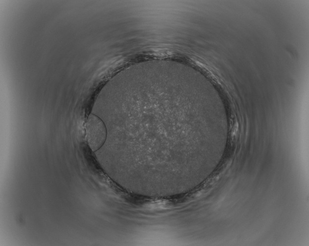 X0000113600609200909251157