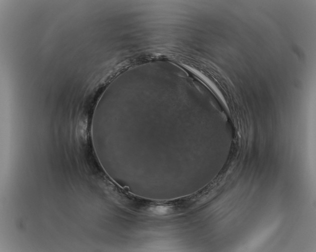 X0000113600610200909251157