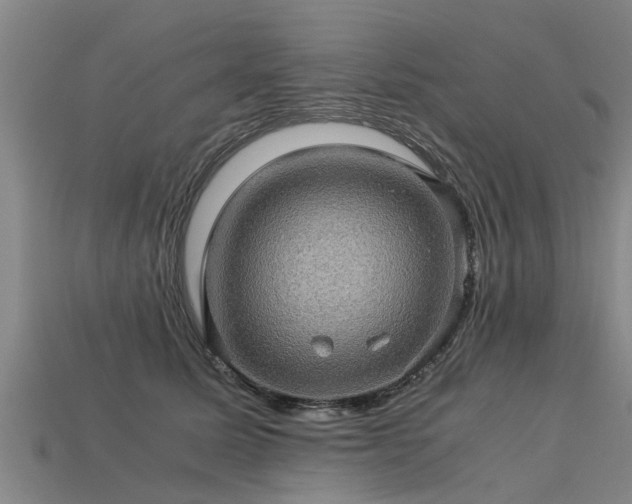 X0000113600611200909251157