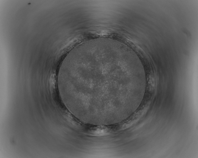 X0000113600612200909251157