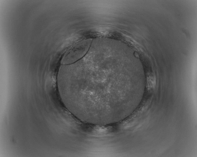 X0000113600613200909251157