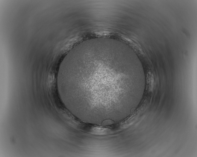 X0000113600614200909251157